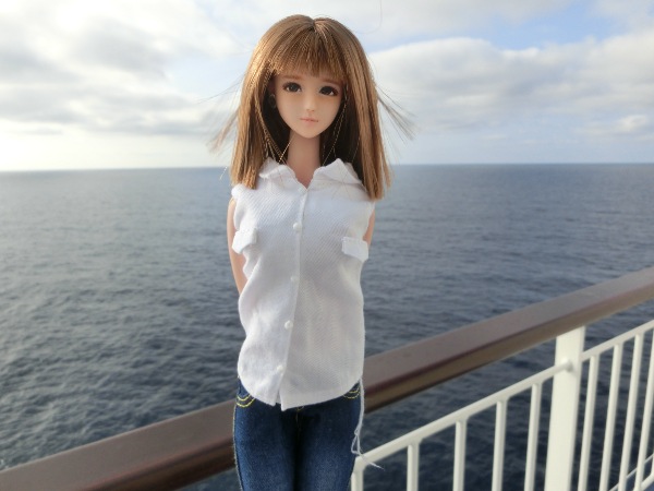 blueroseドール026