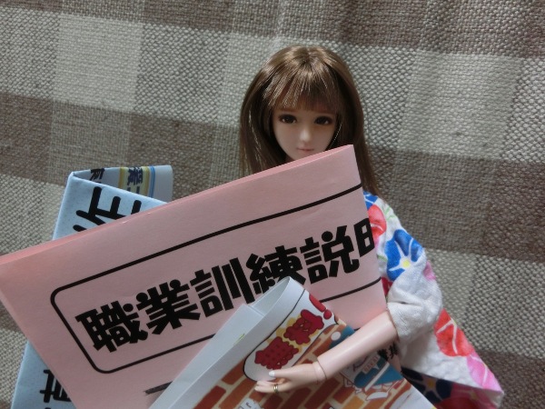 blueroseドール027